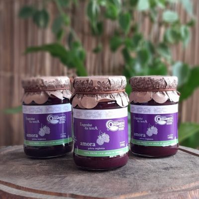 Geleia Orgânica de Amora Sem Açúcar - Engenho da Terra