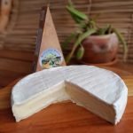 Queijo Brie Serra das Antas, inteiro sobre tábua de madeira.