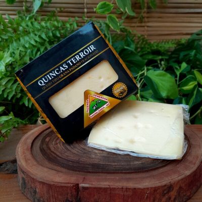 Queijo Quincas Terroir tipo grana padano, sobre mesa de madeira.